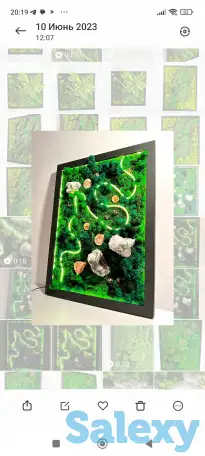 Картина из стабилизированного мха, фотография 3