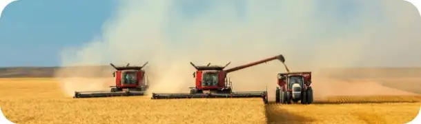 Подсолнечное и соевое масло оптом - ТМ Золотая Семечка, фотография 2