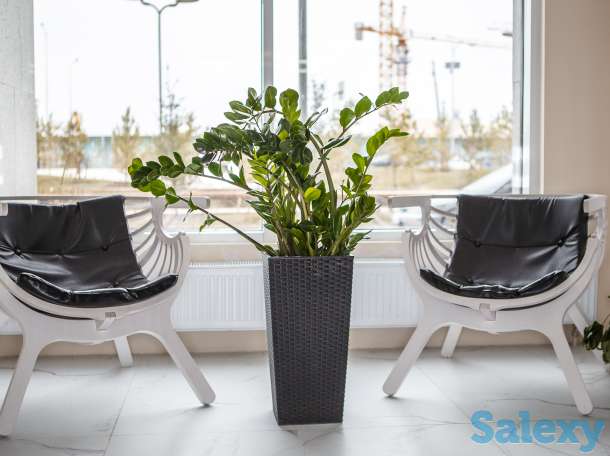 Имплантация зубов в Астане с гарантией!, фотография 7