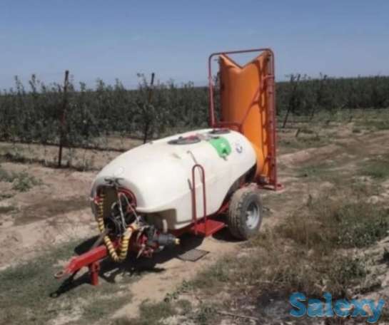 Плодово-ягодный объект (промышленный)., фотография 7