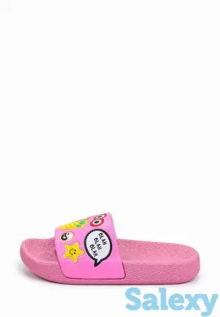 Сланцы t.taccardi, фотография 2