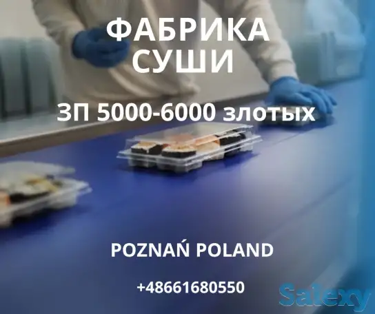 Бесплатные Вакансии в Польше!, фотография 3