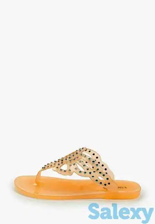 Сланцы t.taccardi, фотография 2