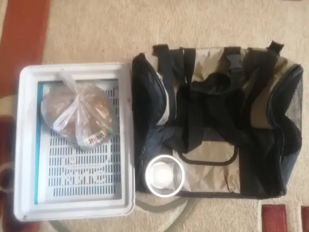 Продам сумку-рюкзак для переноски кота и лоток, фотография 1