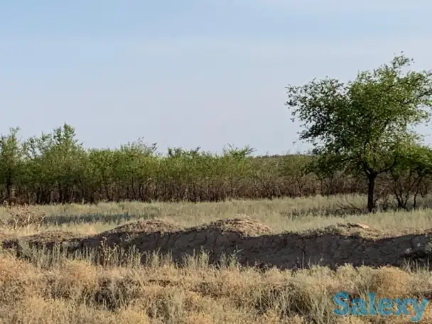 Продажа земельного участка, Алматинская область Илийский район, фотография 1