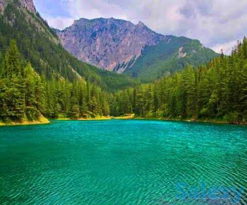 Ваши Апартаменты в Батуми с доходностью 15% и экскурсионный тур по Грузии., фотография 4