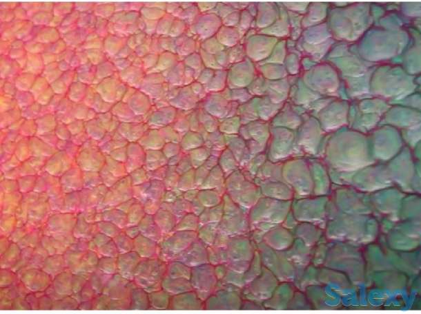 Пакет технологий Forma 3D (3D напыление), фотография 3