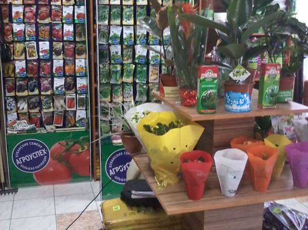 Семена цветов овощей зелени, фотография 9