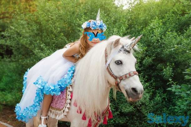 пони единорог, фотография 1