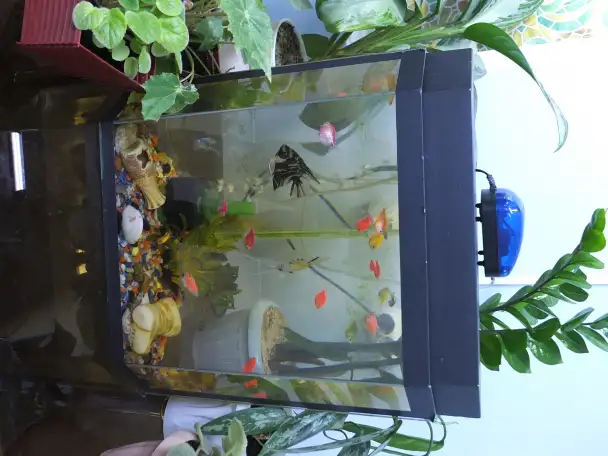 ВОП . Хирургия, фотография 1