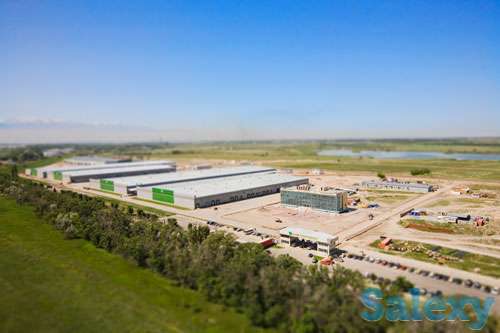 Продам участок. ТОРГ срочно, фотография 1