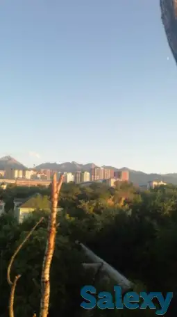 Спил деревьев по городу Алматы и Алматинской области, фотография 10