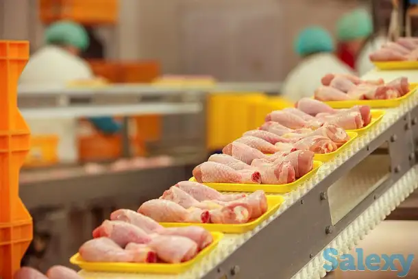 Работа в России на птицефабрике, фотография 1