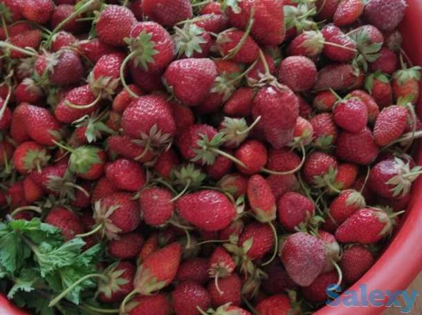 Спешите заказать клубничку местную,сразу с грядке., фотография 1