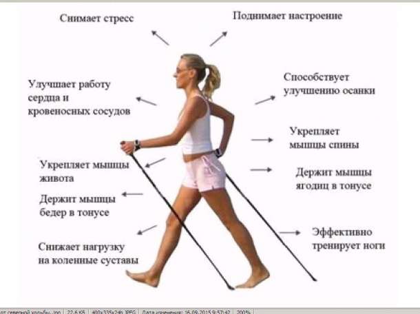 Палки цельные Sanego для скандинавской ходьбы. на рост 175-180 см., фотография 4