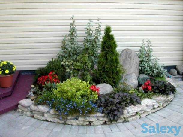 ремонт восстановление газона, фотография 10