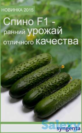 КУПИТЬ СЕМЕНА в КОКШЕТАУ от мировых производителей, фотография 12