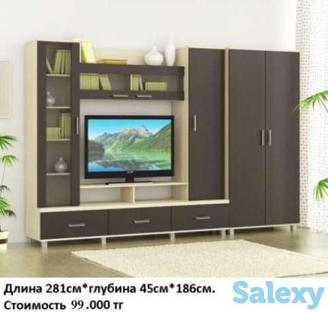 Стенка стильная, фотография 1