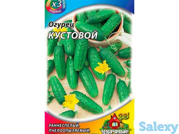 Семена Огурец Кустовой ХИТх3, фотография 1