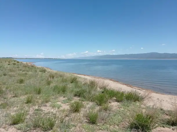 Продам участки на Самарке Миролюбовка, фотография 3