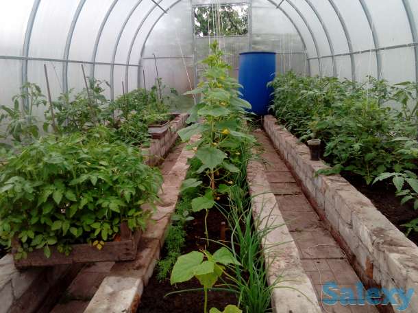 Продаю дом в г,Самара, Самарская обл, Красноярский р-н ПГТ Новосемейкино, фотография 8