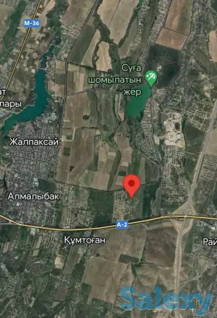 Продается участок 10 соток, Жалпаксай, фотография 8