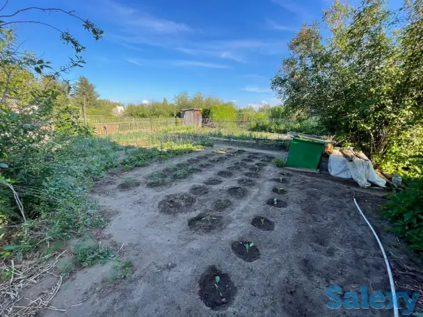 Дача. Петропавловск. Общество «Горизонт»., фотография 12