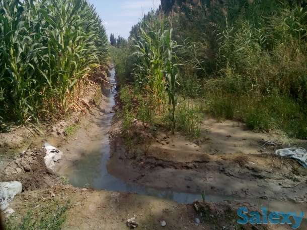 Продается участок к/х 25га, Алматинская область,Енбекшиказахский район,с.Космос., фотография 2