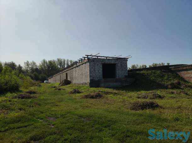 Производственная база. Овощехранилище. СДЕЛАЕМ СКИДКУ ДЛЯ РЕАЛЬНОГО ПОКУПАТЕЛЯ!, фотография 3