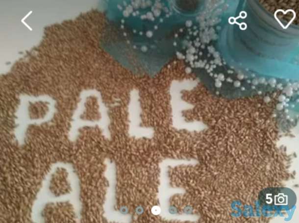 Солод, фотография 4