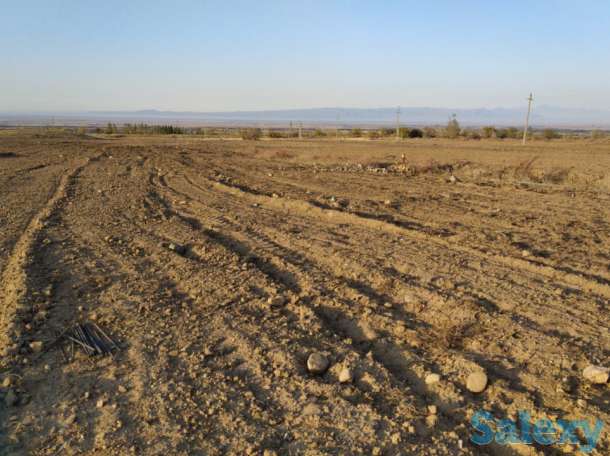 Механизированные работы. Пахота., фотография 1