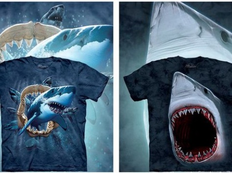 Футболки The Mountain, фотография 1