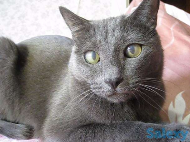 У меня Хозяин умер, фотография 7