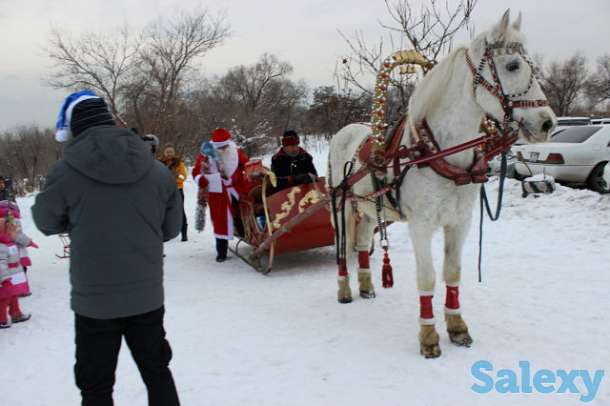 катание на санях, фотография 2