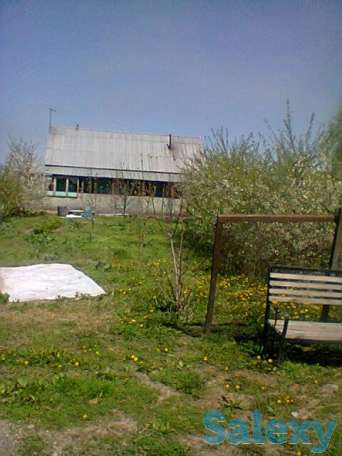 Продам Ферму, Коксай, фотография 10