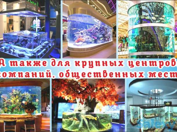 Аквариумы (биотопы). Дизайн, Изготовление, Обслуживание, Уход., фотография 3