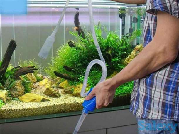 Аквариум обслуживание в Алматы, фотография 3