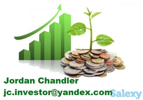 Инвестиционная схема финансирования проекта., фотография 1