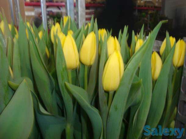 Экспресс доставка цветов, фотография 3