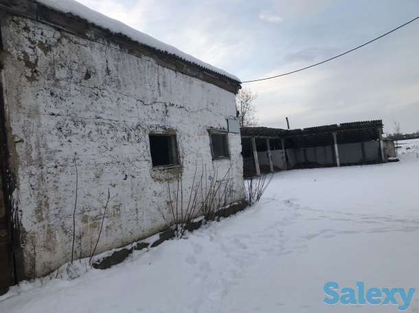 Продам Фазенду, фотография 3