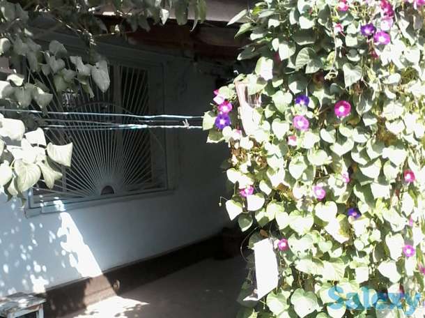 2-комнатная квартира, абайский район, фотография 2