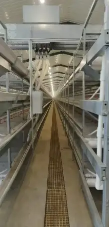 Оборудование  Big Dutchman для птицефабрики по выращиванию птиц из Китайского производителя , дешево и качественно!, фотография 1