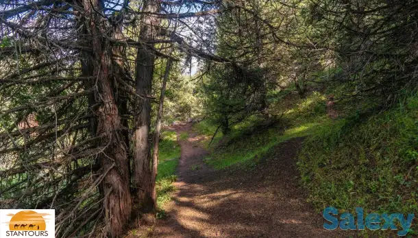 Классический тур по Узбекистану и путешествия / Uzbekistan Classical Tour & Travel, фотография 10