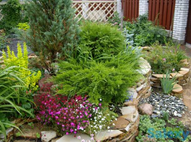 озеленение, фотография 1