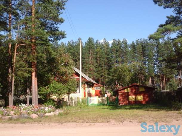 зимний дом в красивейшем месте новгородской области, фотография 1