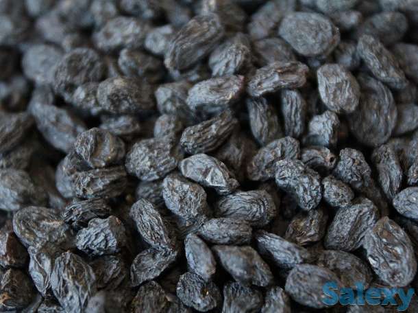 Сухофрукты из Киргизии, фотография 2