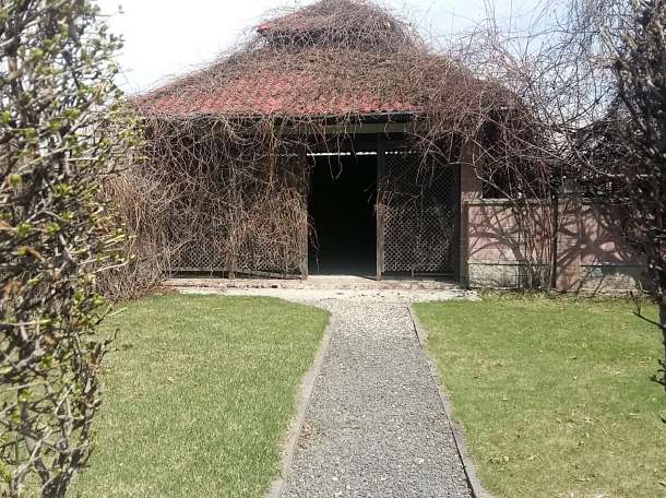 Продам дос, Багоношил, фотография 7