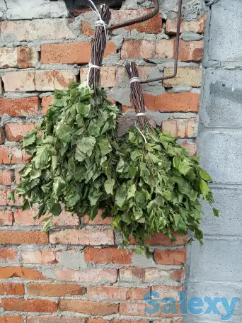Берёзовые веники, фотография 1