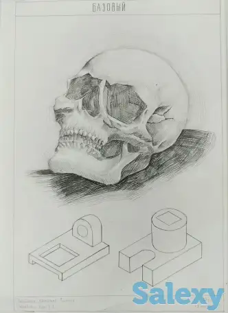 Подготовка к творческим экзаменам, академический рисунок, черчение, фотография 5