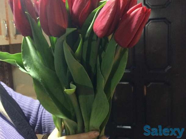 Тюльпаны оптом к 8 марта, фотография 3